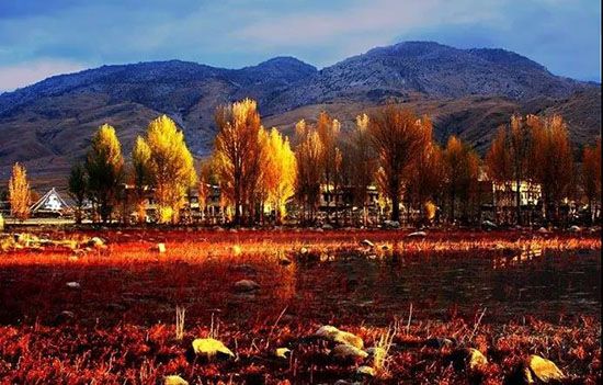 把一段光陰，留在稻城。