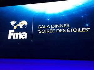 國際泳聯年度頒獎盛典 國際泳聯年度頒獎盛典
