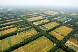南太行山前平原 南太行山前平原