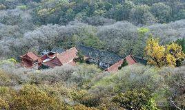 城陽村[安徽宿州市蕭縣莊裡鄉城陽村]
