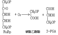 氯化冶金 氯化冶金