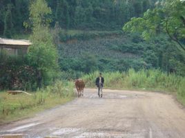 夾馬石村 夾馬石村