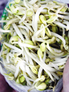 藥水豆芽 藥水豆芽