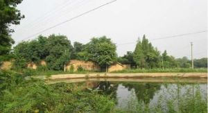 童家灣村 童家灣村