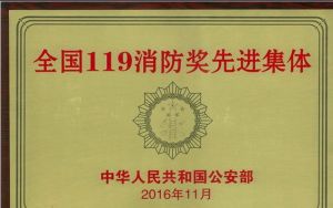 全國119消防獎 全國119消防獎