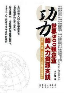 功力:世界500強企業的人力資源實踐 功力:世界500強企業的人力資源實踐