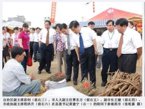 領導視察端午藥市