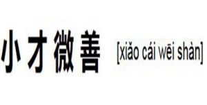 小才微善 小才微善