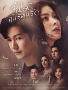 吹落的樹葉 吹落的樹葉