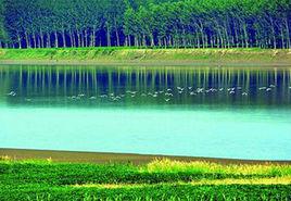 玫瑰湖濕地公園 玫瑰湖濕地公園