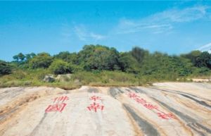 南天寺石佛和摩崖刻石 南天寺石佛和摩崖刻石
