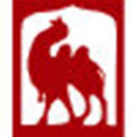 新疆音像出版社 新疆音像出版社