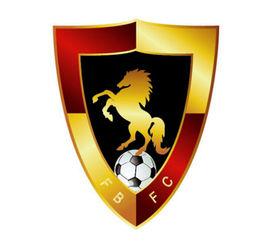 福建喜攀登超越足球俱樂部 福建喜攀登超越足球俱樂部