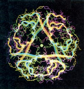 分子大小 分子大小