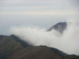 “三江源頭”六股尖 “三江源頭”六股尖