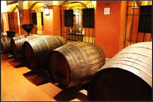 澳門葡萄酒博物館 澳門葡萄酒博物館