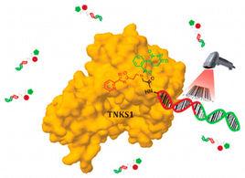 DNA編碼化合物 DNA編碼化合物