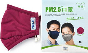 PM2.5口罩