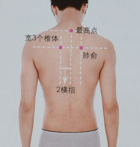 肺俞穴 肺俞穴