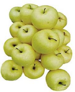 金冠蘋果 金冠蘋果