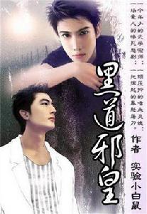 黑道邪皇 黑道邪皇