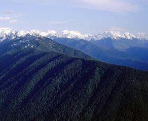 奧林波斯 奧林波斯