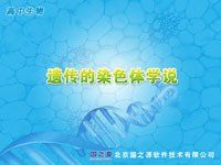 遺傳的染色體學說