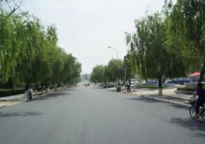 興海路街道 興海路街道