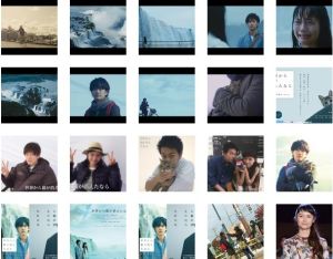 假如貓從世界上消失了