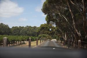 雷克布瑞斯酒莊圖