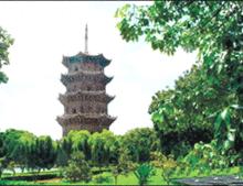 東塔自然風景圖片