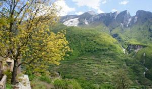 櫻桃寨自然村 櫻桃寨自然村