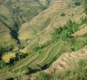 紅山自然村 紅山自然村