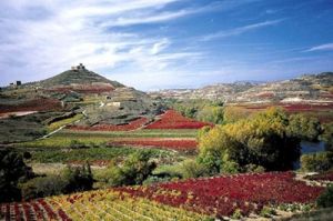 里奧哈產區 里奧哈產區