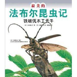 最美的法布爾昆蟲記:鐵嘴伐木工天牛 最美的法布爾昆蟲記:鐵嘴伐木工天牛