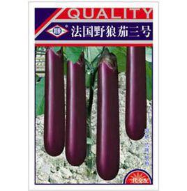 法國野狼茄 法國野狼茄