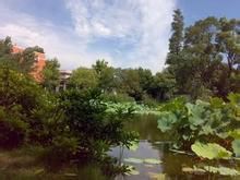 綺山森林公園 綺山森林公園