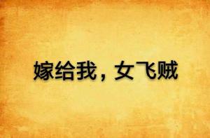 嫁給我，女飛賊