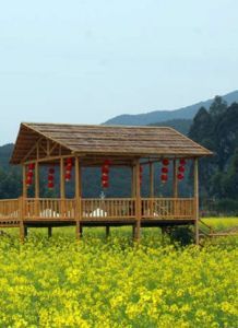 盈香生態園 盈香生態園