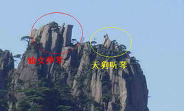 仙女彈琴 仙女彈琴