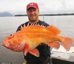 史蒂夫·沃茲尼克 史蒂夫·沃茲尼克