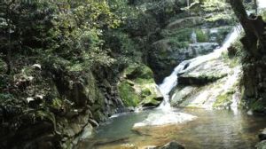 高嶺公園 高嶺公園