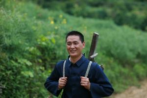 黃顏色綠顏色 黃顏色綠顏色