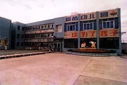 張江鎮愛苗幼稚園 張江鎮愛苗幼稚園