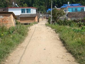 曼興龍下寨村 曼興龍下寨村