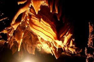 鰱魚化石博物館 鰱魚化石博物館