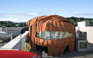 惠靈頓國際機場 惠靈頓國際機場