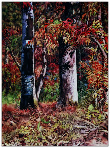 相依   水彩    李鳳鳴 作