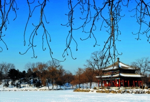 “圓明園廟會”將打造北京獨具一格的“皇家”風格