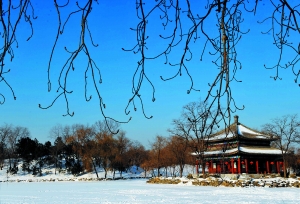 “圓明園廟會”將打造北京獨具一格的“皇家”風格